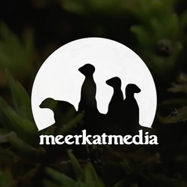 Meerkat Media Collective